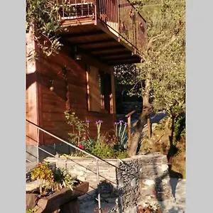 La Casetta Di Molly Tra Ulivi E Roseto Casa vacanze Leivi